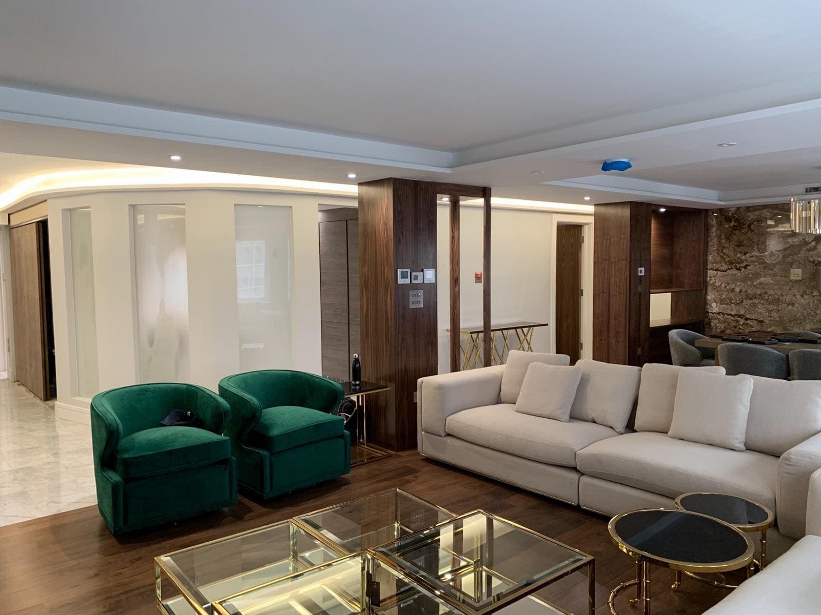 Luxury Apartment Refurbishment, Mayfair, photo 2