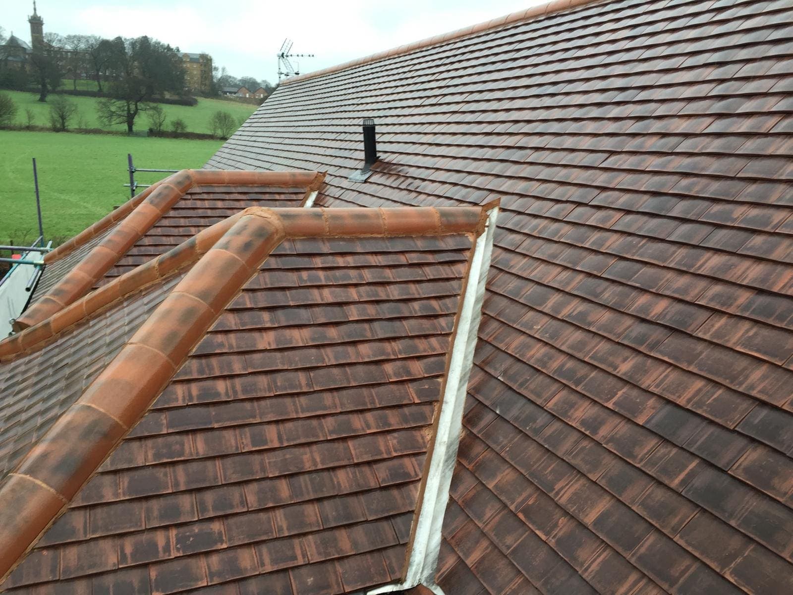 Eco-Friendly New Build Home, Mill Hill, photo 10
